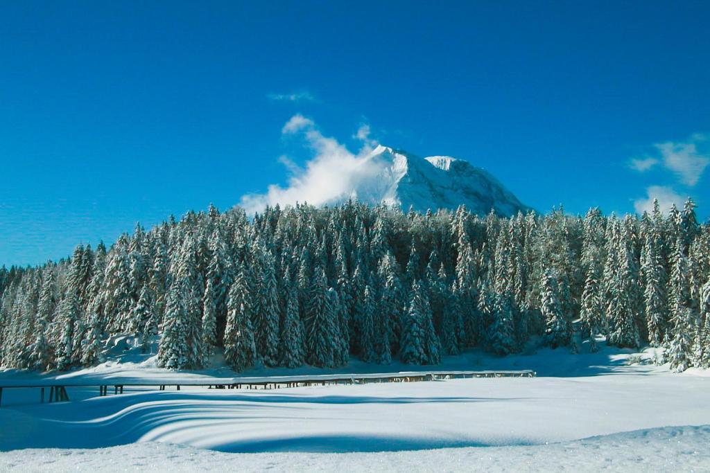 Hotel Hochland Leutasch Zewnętrze zdjęcie